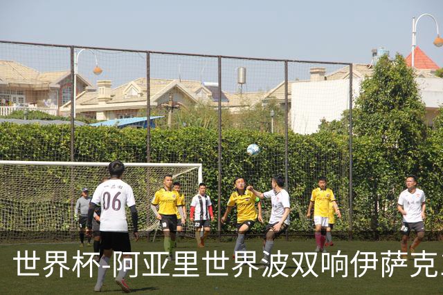世界杯-阿亚里世界波双响伊萨克1射2传 瑞典5-1突尼斯