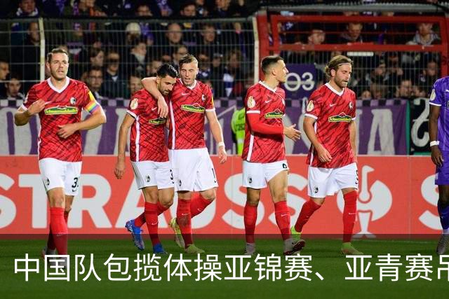 中国队包揽体操亚锦赛、亚青赛吊环金牌