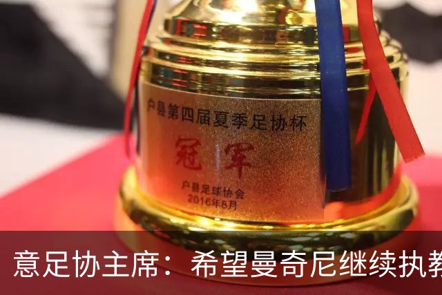 意足协主席：希望曼奇尼继续执教 没想到会这样