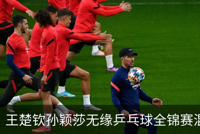 王楚钦/孙颖莎无缘乒乓球全锦赛混双决赛