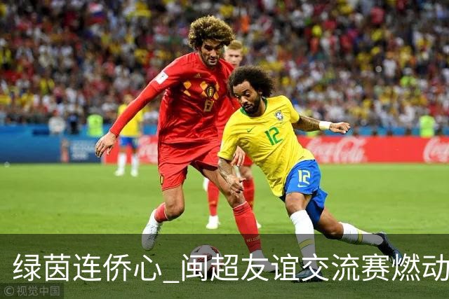 绿茵连侨心 闽超友谊交流赛燃动莆田