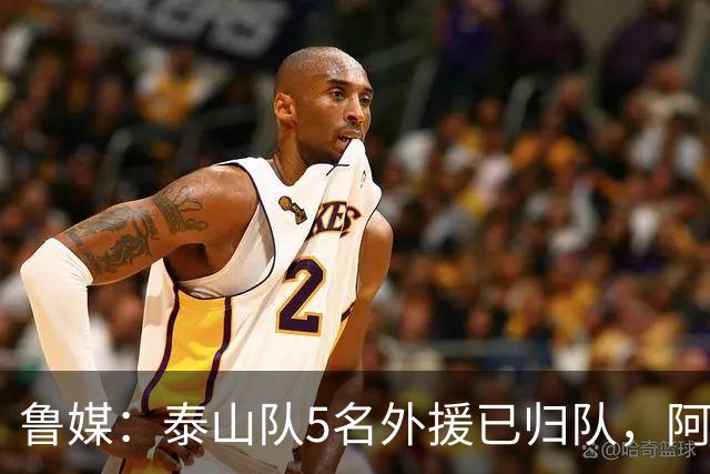鲁媒：泰山队5名外援已归队，阿尔瓦罗6月份复出难度比较大